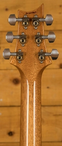 PRS Special Semi Hollow Limited Edition - River Blue