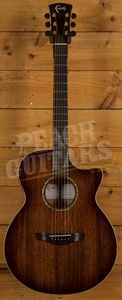 Faith Venus Trembesi Brown Burst Prototype