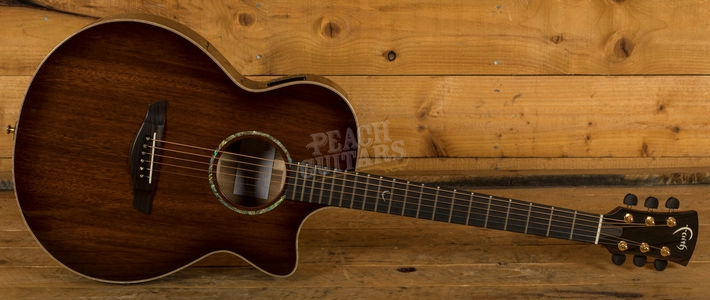 Faith Venus Trembesi Brown Burst Prototype