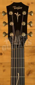 Taylor Koa Series | GT K21e