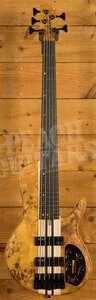 Cort Artisan A5 Plus SC - Amber Open Pore