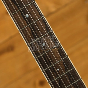 Collings SoCo Deluxe - Custom Doghair Finish w/Bigsby