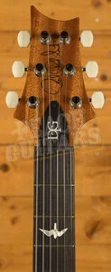 PRS DGT - Faded Blue Jean Birds