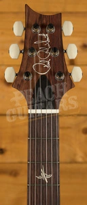 PRS Paul's Guitar Black Gold