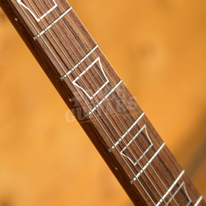 Nik Huber - Dolphin II Superhollow Stone w/Madagascan Rosewood Neck