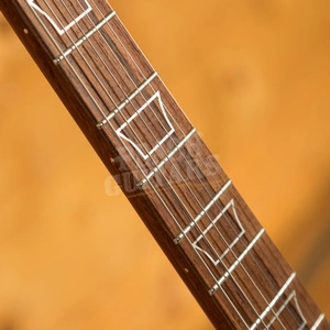Nik Huber - Dolphin II Superhollow Stone w/Madagascan Rosewood Neck