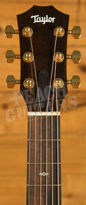 Taylor 50th Anniversary Collection | GS Mini-e Rosewood LTD - Natural Top *Left-Handed*