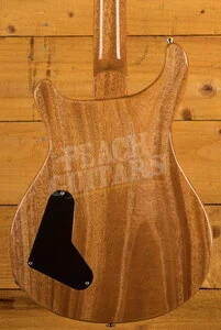 PRS Paul's Guitar Aquamarine