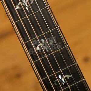 Taylor 914ce LTD - Macassar Ebony & Stripy Sinker Redwood