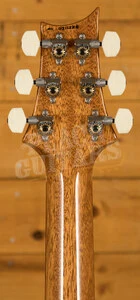 PRS Paul's Guitar Aquamarine