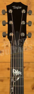 Taylor 400 Series | 414ce-R LTD - Lily/Vine Inlay - Shaded Edgeburst