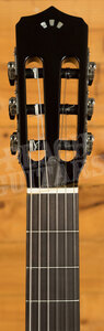 Cordoba Fusion Stage | Black Burst