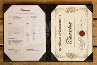 Castedosa Marianna Standard | Aged 2-Tone Sunburst - Rosewood