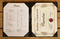 Castedosa Conchers Standard | Aged Casino Yellow - Rosewood