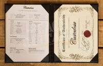 Castedosa Marianna Semi-Hollow | Aged Sonic Blue - Rosewood