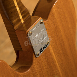 Fender Custom Shop Limited Edition P90 Tele Thinline Relic Black