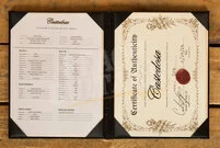 Castedosa Conchers Baritone | Aged Purple Metallic - Rosewood