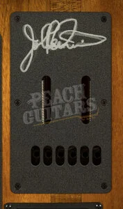 Music Man John Petrucci Collection | Majesty Maple Top - Spice Melange