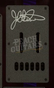 Music Man John Petrucci Collection | Majesty Maple Top - Crystal Amethyst