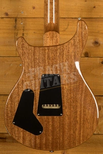 PRS Special Semi Hollow Limited Edition River Blue