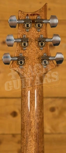 PRS Special Semi Hollow Limited Edition River Blue