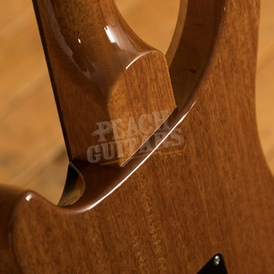 PRS Special Semi Hollow Limited Edition River Blue