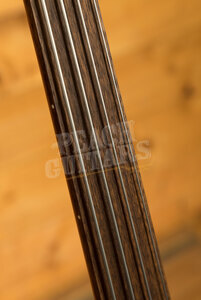 Epiphone Jack Casady Fretless Bass | Aged Royal Tan