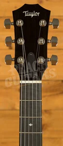 Taylor T5z Series | T5z Classic