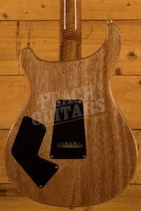 PRS Experience Modern Eagle V - 10 Top River Blue - Pattern Neck