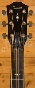 Taylor 300 Series | 312ce