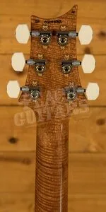 PRS Experience Modern Eagle V - 10 Top Charcoal - Pattern Neck