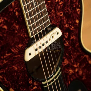 Gibson Cat Stevens J-180 Collector's Edition