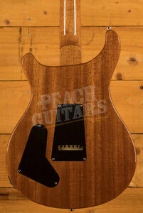 PRS Special Semi Hollow Limited Edition - Custom Colour