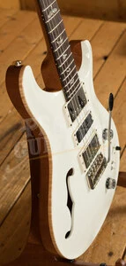 PRS Special Semi Hollow Limited Edition - Custom Colour