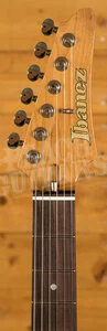 Ibanez Signature Models | TQMS1 - Tom Quayle - Celeste Blue