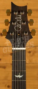 PRS Modern Eagle V - 10 Top Custom Colour - Pattern Neck