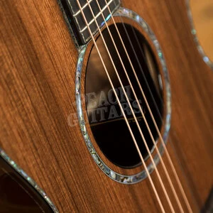 Taylor Presentation Series | PS14ce LTD Macassar Ebony