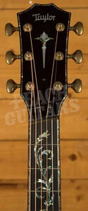 Taylor Presentation Series | PS14ce LTD Macassar Ebony
