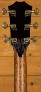 Taylor Presentation Series | PS14ce LTD Macassar Ebony