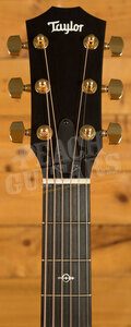Taylor 200 Deluxe Series | 224ce-K DLX