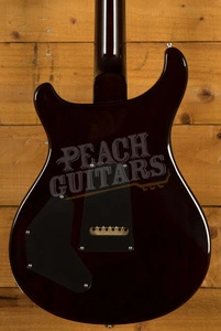 PRS DGT Goldtop Birds