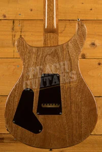 PRS Special Semi Hollow Purple Iris Pattern