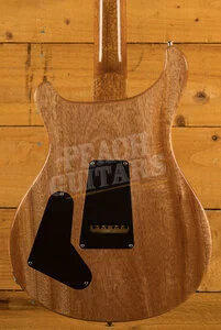 PRS Special Semi Hollow Purple Iris Pattern