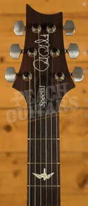 PRS Special Semi Hollow Purple Iris Pattern
