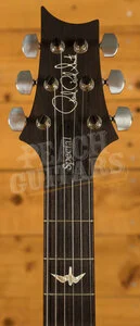 PRS Special Semi Hollow Purple Iris Pattern