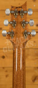 PRS Special Semi Hollow Purple Iris Pattern
