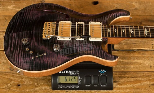 PRS Special Semi Hollow Purple Iris Pattern