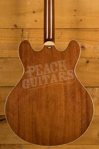Eastman Truetone Gloss T186MX-GB | Goldburst