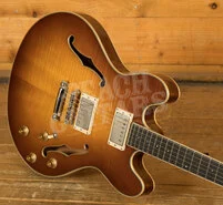 Eastman Truetone Gloss T186MX-GB | Goldburst