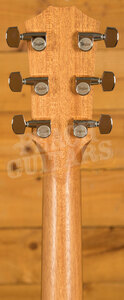 Taylor 200 Plus Series | 214ce Plus *2024 Spec*